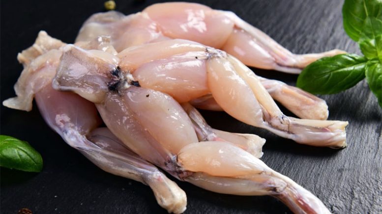 France bans frog meat consumption