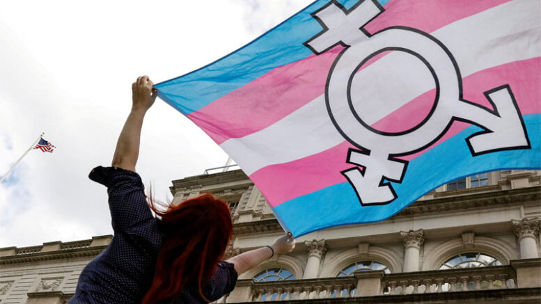 transgender takeover of EU