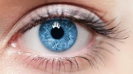 a DNA-based eye color test