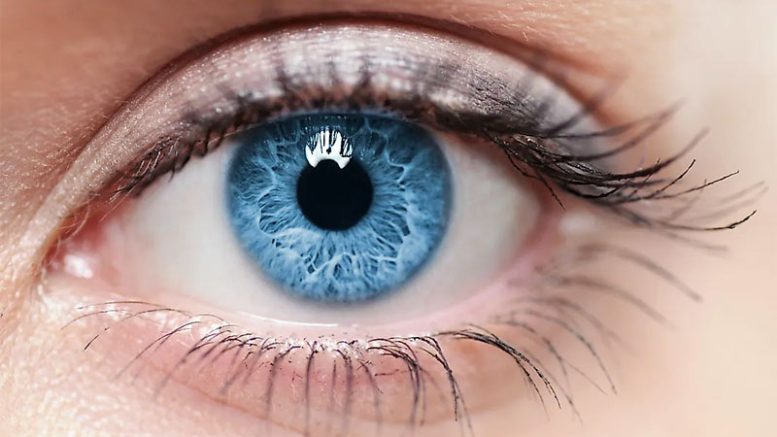 a DNA-based eye color test
