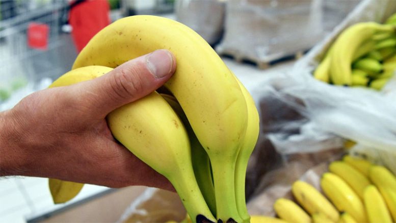 North Korea's Banana Policy